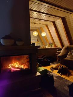 Hotel Zakątek Leśny - 7