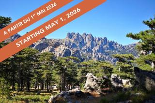 Hôtel Cantu di Fiumu - Zonza - 8