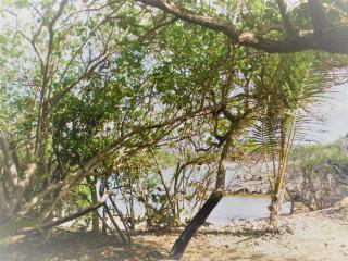 Miracle des Caraibes - 2