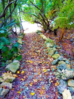 Miracle des Caraibes - 1