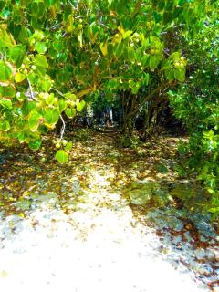 Miracle des Caraibes - 3