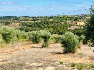 Casa Elo - Fresh-Built Home with Pool - 6