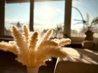 Apartment Kokorey - 9