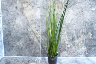 Wohnung IB - Gemütliches Designer-Apartment - 4