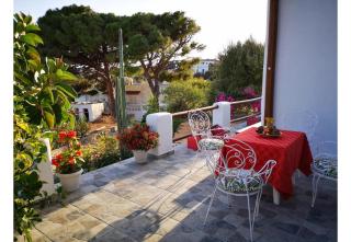 Villa Two Pine Trees - 5