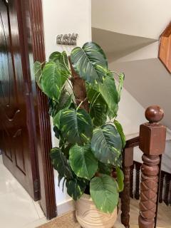 Fahad Guest House Bani Gala Islamabad - 5