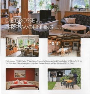 Hof Islandpferde von der Holstenau - 8