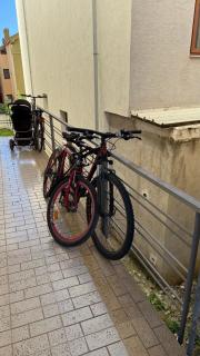 Guest's Apartament - 9