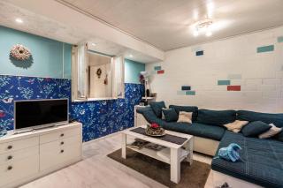 Hof Islandpferde von der Holstenau - 3