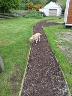 Sleeps 3 to 4 - - 200m from beach - 9