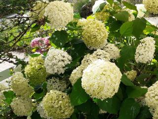 Ferienwohnung Im Fischerhäusle - 6