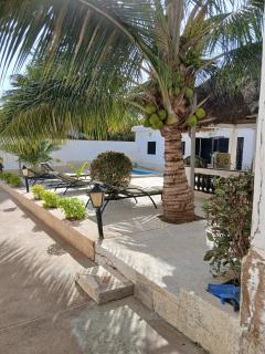 Chez André Léon - 7