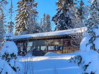 Trysilfjellet Sør 17 - 0