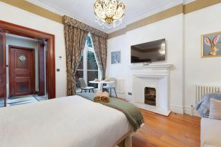 New! 1BR in Stamford - 1