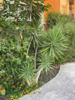 Family Apartment - 8