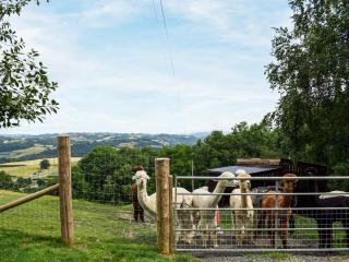 Moonlight View - Uk35187 - 6