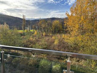 Flow Spot - Apartament z Widokiem na Szyndzielnię - 9