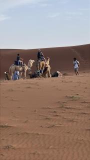 Across Sahara - 7