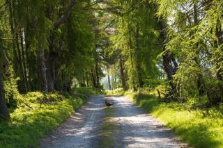 Rachel’s Farm, Glenalmond - 6