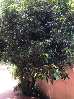 Cheerful, 1 AC Bedroom home with parking - 6