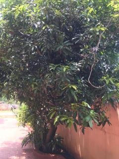 Cheerful, 1 AC Bedroom home with parking - 4