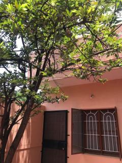 Cheerful, 1 AC Bedroom home with parking - 2