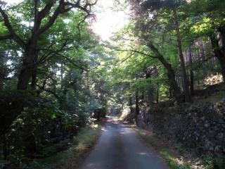 Loft de Charme La Rose Désirée - 9