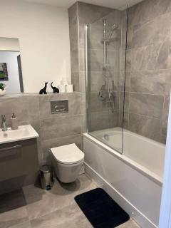 Superb city centre new built flat and gym - 1