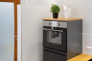 Breisgau Lofts - Nähe Europapark - 1