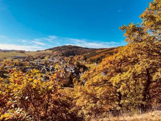 Waldhof Hochsauerland B&B - 9