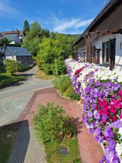 Waldhof Hochsauerland B&B - 8