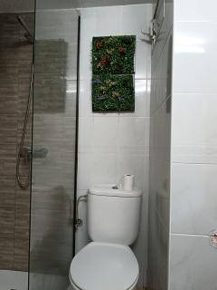 El Caracol azul del Plano - 7