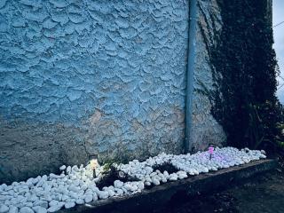 El Caracol azul del Plano - 3