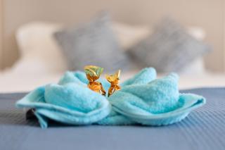 Rincón del olivar - 1