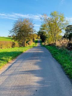 Holly Cottage - Village location, Lake District - 1