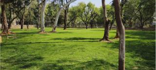 Estherea Bagh Ranthambhore Tiger Territory - 9