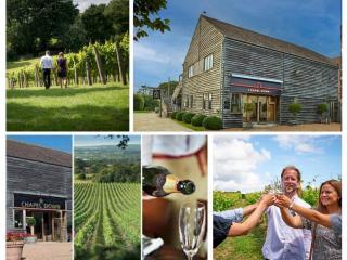 Pass the Keys Mistral Coastal Cabin - Dungeness sleeps 23 - Dungeness - 1