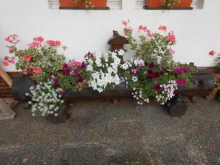 Gästehaus Schoch-Bächle - 8