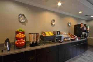 Best Western Galleria Inn & Suites - 7