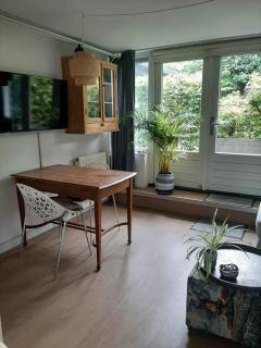 Gezellig souterrain in bollestreek met prive ingang - 9