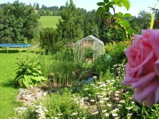 Ferienwohnungen Bergblick - 9