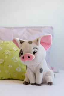 Vegan Topfloor - Douro e Ribeira - 9