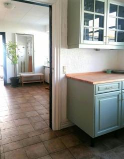 Nature Gem Near Haderslev With 160-Year-Old Beech - 3