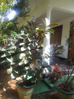 Freedom Home Stay - 7