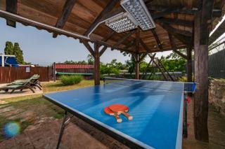 Villa Histria, a wonderful and luxurious villa - 5