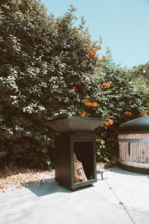 Marselan - Gîtes Du Mas Des Jeux - Saint-Laurent-dʼAigouze - 4