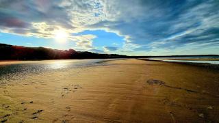 Cayton Bay Cottage - 9