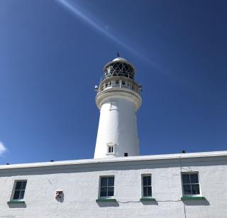 Cayton Bay Cottage - 6