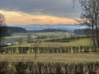 Side-by-Side Tiny Houses - 7