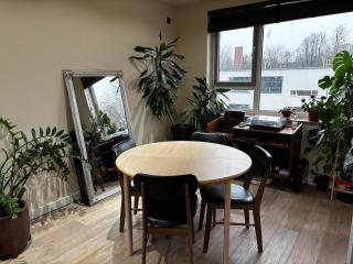 Cozy Stylish Home in Amsterdam - 9